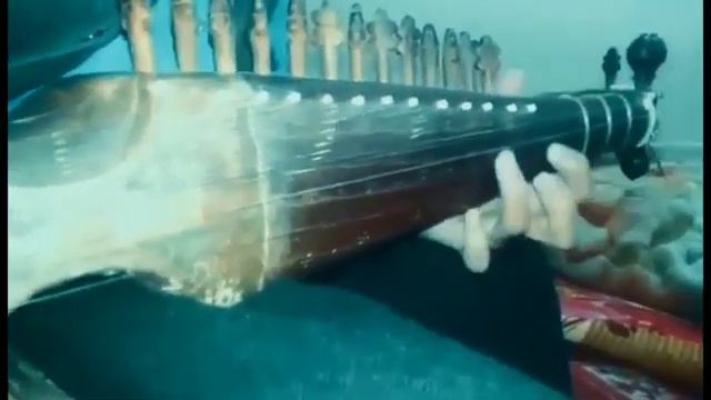 A Turkish Tune Played By Master Irfan Gulab Ustad On Rabab