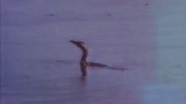 Грязная вода смотреть онлайн