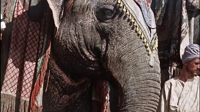 11.Богатство смотреть онлайн