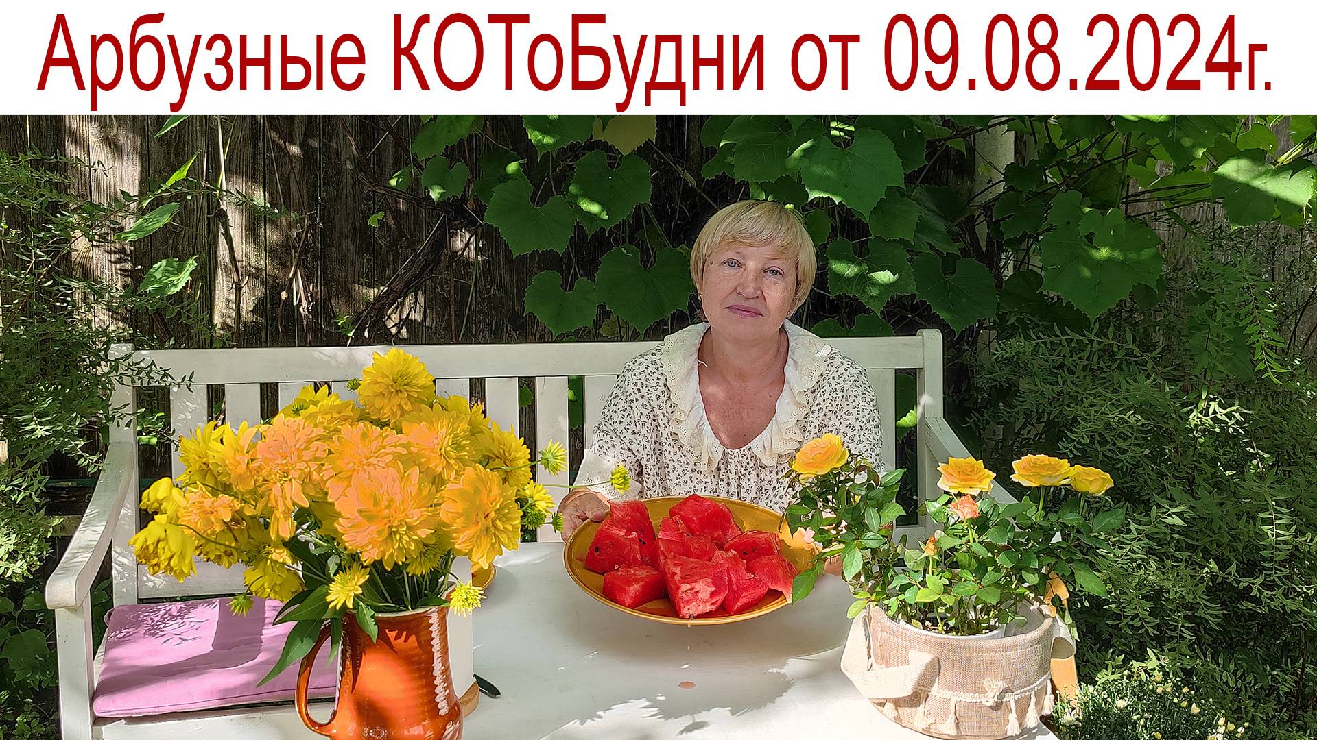 Арбузные КОТоБудни от 9 августа 2024 г. смотреть онлайн