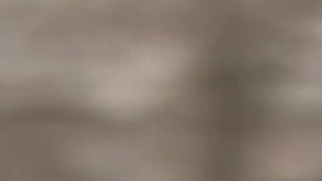 Ворона против Ястреба в небе ! Кто сильнее. смотреть онлайн