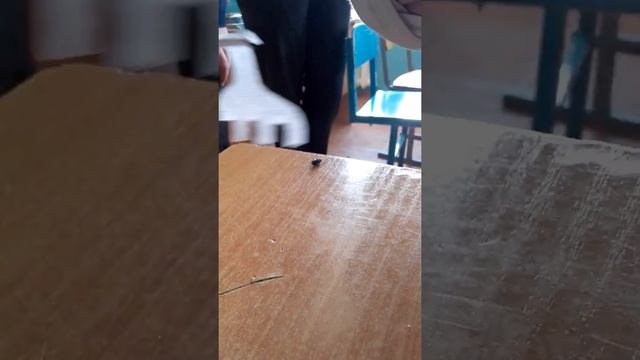 Казнь мухи.ЖЕСТЬ!!! смотреть онлайн