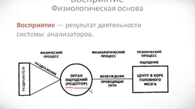 Психология урок 18 Восприятие смотреть онлайн