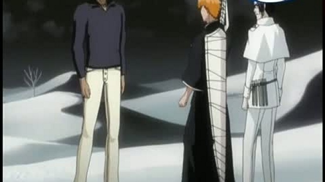 Bleach CZ Ep145