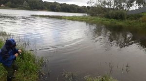 Старая Ладога рыбалка на реке Волхов и  речки Ладожка.Ожидание и реальность.