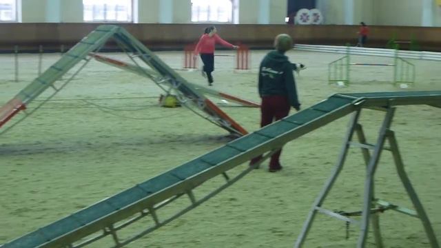 2017.02.24, Русь, Кубок (РЛК), аджилити, Джей смотреть онлайн