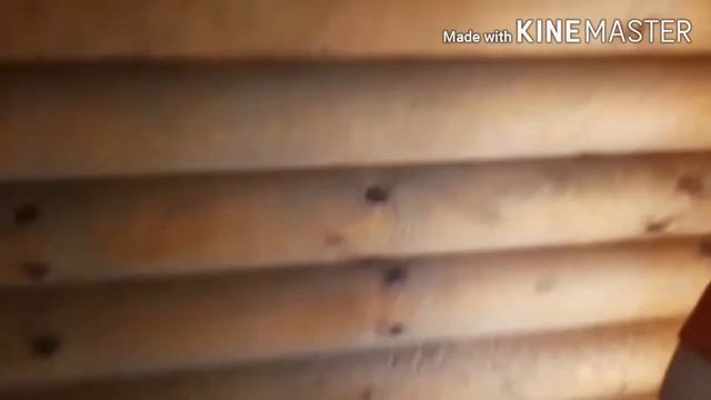 *ВЛОГ пошли гулять во время карантина*\*Нас чуть не поймали* смотреть онлайн