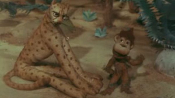 КОАПП. Симбиоз