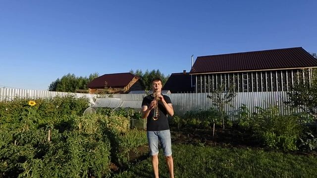 Дачные занятия? смотреть онлайн