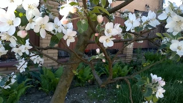 НА ДАЧЕ (poetry) смотреть онлайн