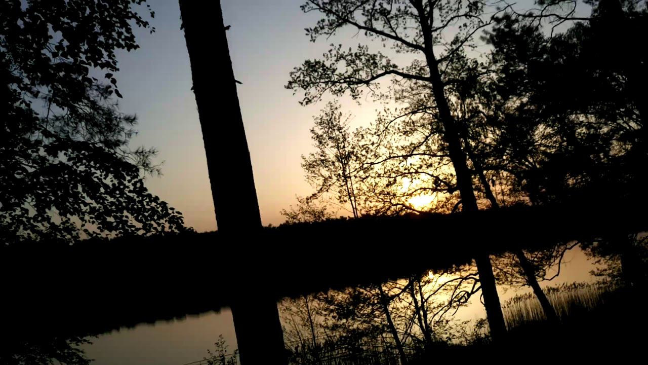 Часовня возле Санатория Озерный, Беларусь смотреть онлайн