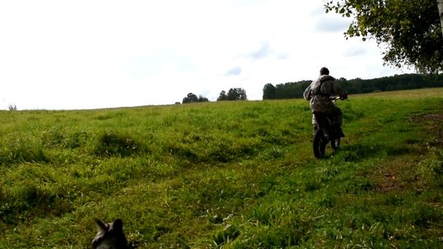 X-MOTO RAPTOR 140-бюджетный питбайк смотреть онлайн