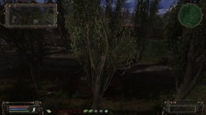 S.T.A.L.K.E.R. 2023. Фотографируем Монолит. Часть #222 НС+OGSR  Патч от 01.2023