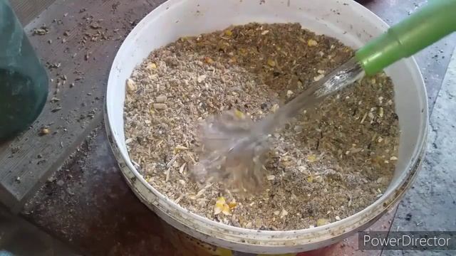 Чтобы Куры Неслись Всегда!//Лучшая Мешанка для Кур Несушек!//Жизнь на Кубани.