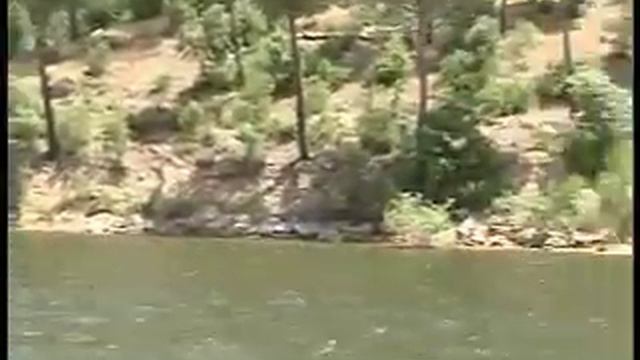 Pantano San Juan La playa de Madrid OChIO.WMV смотреть онлайн