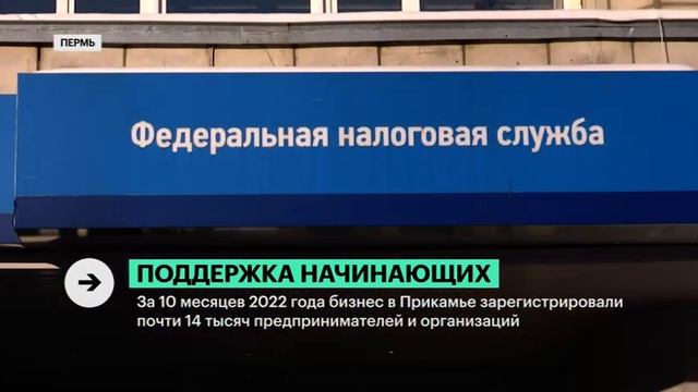 Поддержка начинающих смотреть онлайн