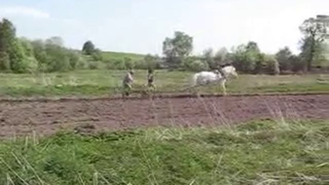 вспашка огорода лошадью смотреть онлайн
