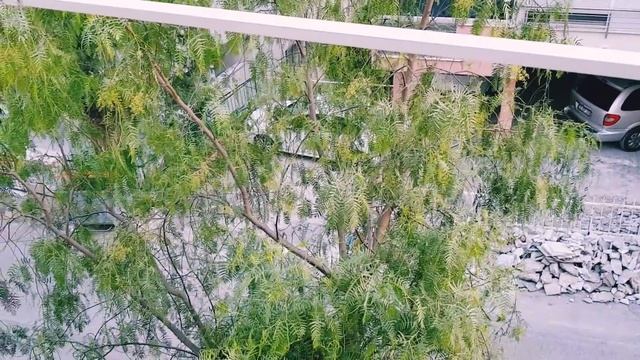 семейный влог у СВЕКРОВИ -детские фото мужа и его дочи?забрали деток ?д. рождения ДОЧЕРИ ? смотреть онлайн