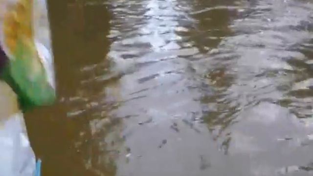 Шишим, Дарья 2013 смотреть онлайн