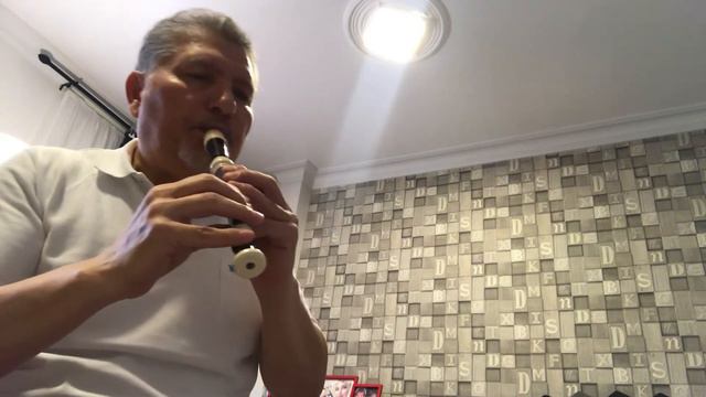 El Condor Pasa Flute at home смотреть онлайн