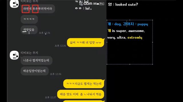 REAL Korean Slang 은어 #Kakaotalk, in 7minutes #kslang смотреть онлайн
