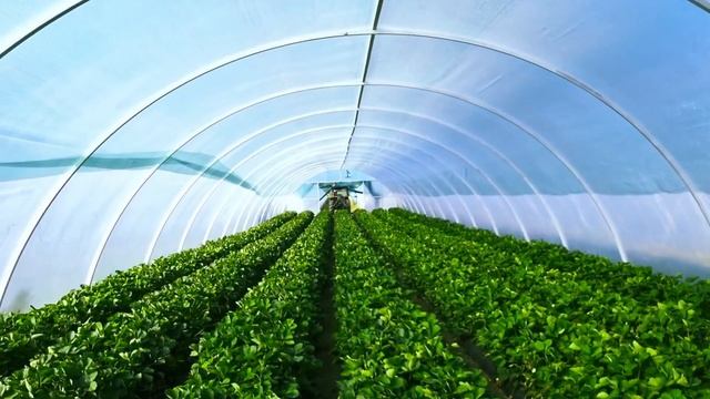 Сетка затеняющая