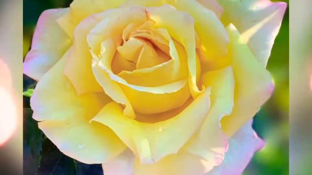 "На пути из Назарета" Иван Бунин смотреть онлайн