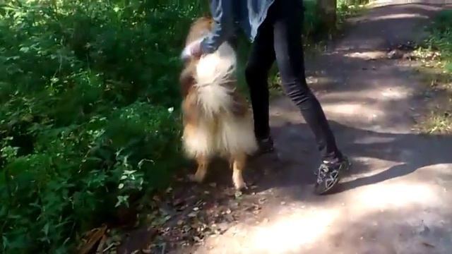 Дан с палочкой смотреть онлайн