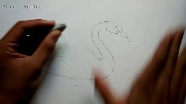 How to draw Swan смотреть онлайн