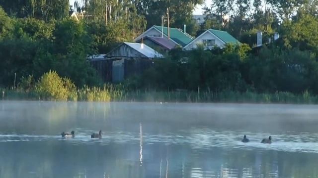 Пруд в Бабушкино. смотреть онлайн