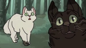 ПОЧЕМУ МОРОСИНКА ТАКАЯ?||ТЕОРИЯ||КОТЫ ВОИТЕЛИ