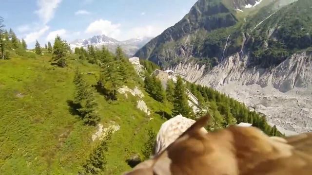 Беспилотник под названием орёл.