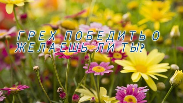 Грех победить, о, желаешь ли ты