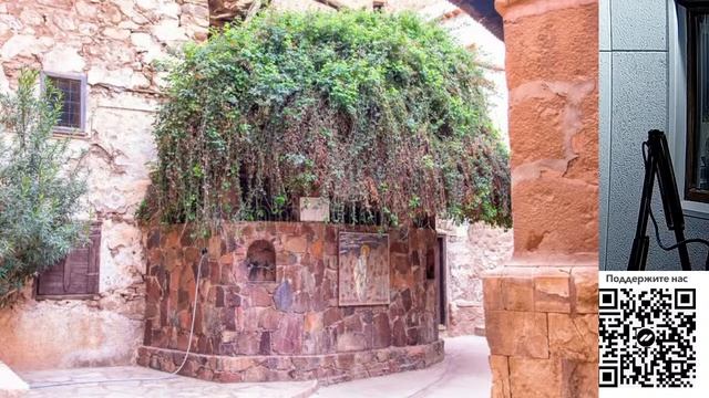 "Полевые лилии" и не только: флорист о библейских растениях смотреть онлайн