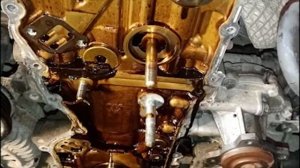 замена цепи грм сузуки гранд витара 2л