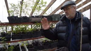 Солнечный биовегетарий Иванова. Преимущества заглубленного биовегетария.