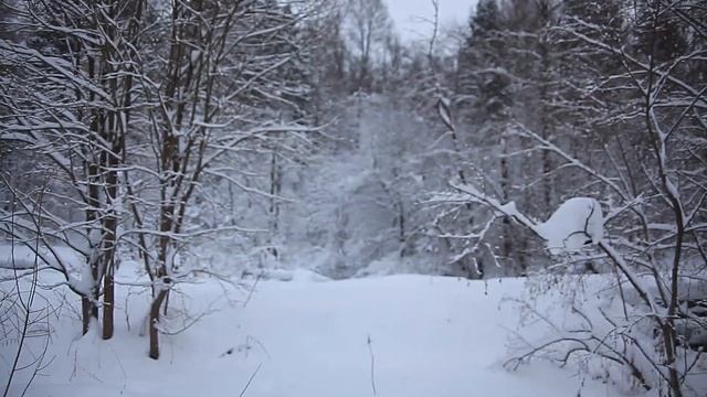 Из зимы в весну |Зима | Весна смотреть онлайн