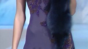 Дикая Орхидея 3