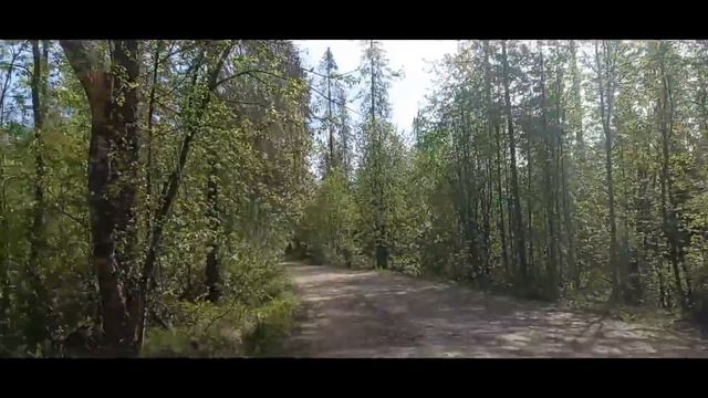 ПЕШКОМ В ПОДГОРНОЕ, ЗАБРОШКИ И УСТАНОВКА ЗНАКА! (ЛЕН.ОБЛАСТЬ, ВЫБОРГСКИЙ Р-ОН) смотреть онлайн