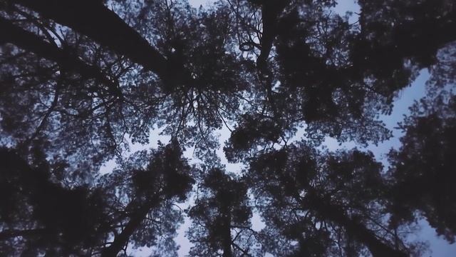 Больше не человек - ПСИХОЗ ВЕНДИГО смотреть онлайн