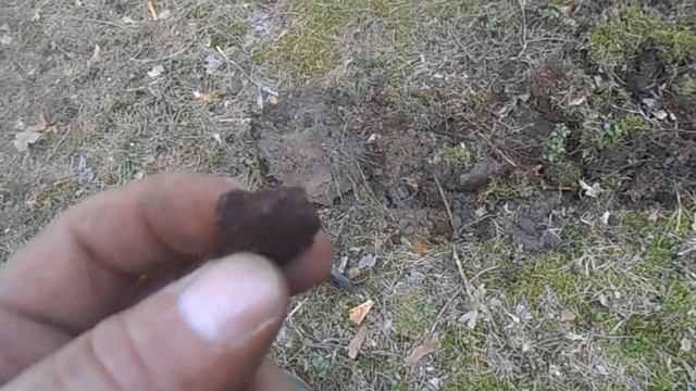 Первый коп.Металлоискатель Garrett ACE 150.Коп в лесу. смотреть онлайн