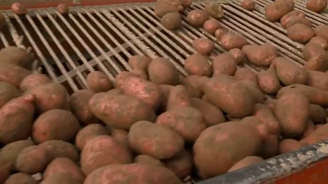 В этом году социальные учреждения Смоленской области получат более 20 тысяч тонн продуктов питания смотреть онлайн