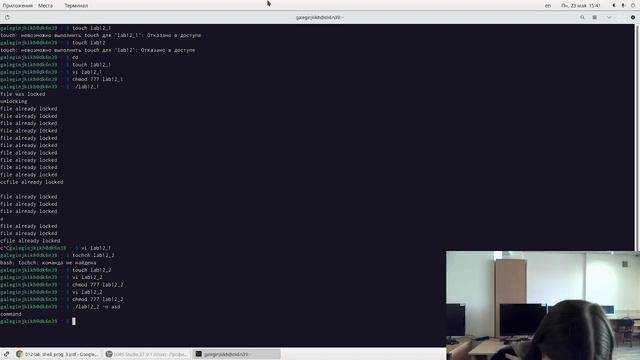 Лабораторная работа №12 Выполнение смотреть онлайн