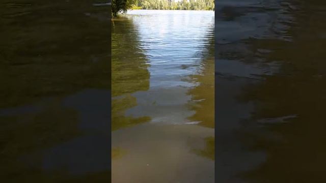 Дача день за днем. 16 июня 2021 г. Открыла купальный сезон. смотреть онлайн