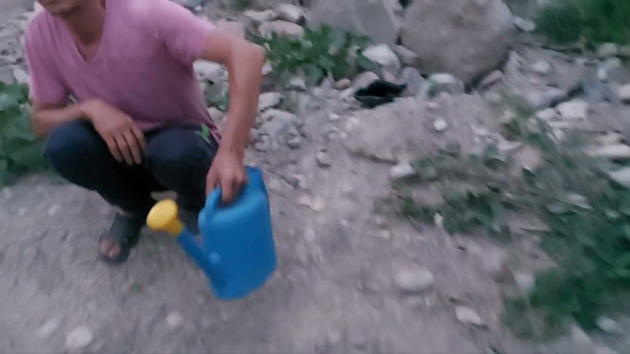 Собаку избили и выкинули в реку с моста. #animalshelter