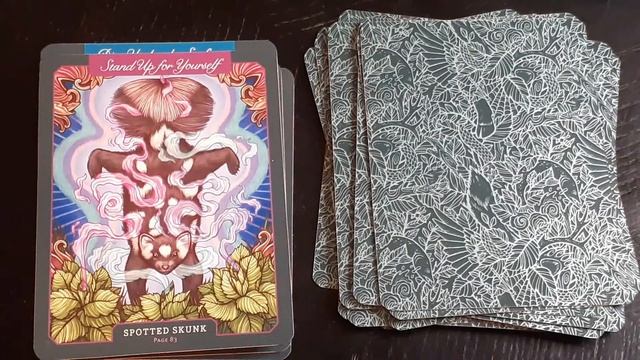 Oracle Review The Illustrated Bestiary Collectable Box Set by Maia Toll смотреть онлайн