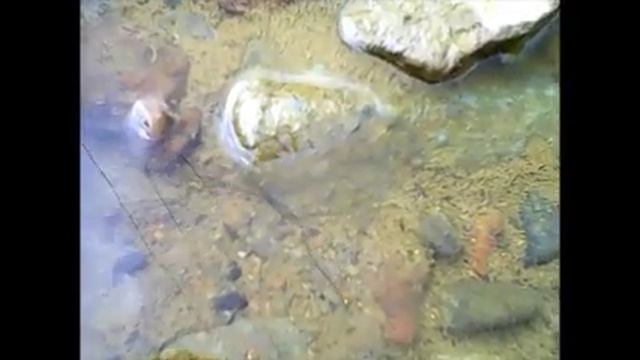 Конский волос смотреть онлайн