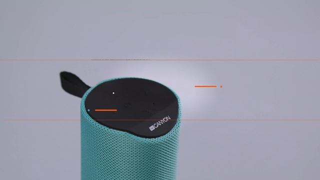 Беспроводной динамик с мощным звуком Canyon CNS-CBTSP5 смотреть онлайн