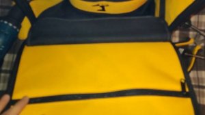 Рюкзак для инструментов DeWALT DWST81690-1 40 литров/можно  впихнуть невпихуемое/ быстрый обзор