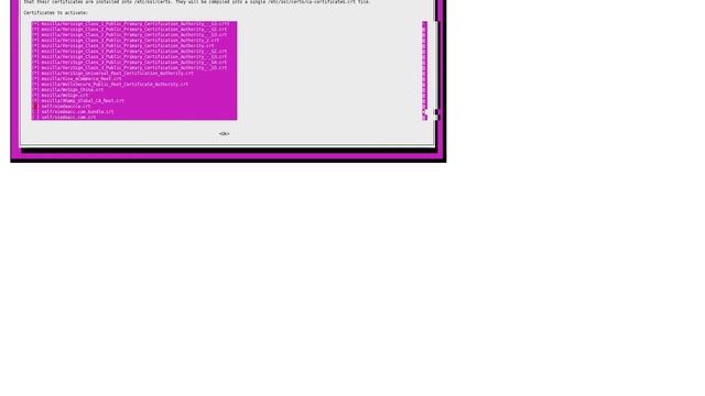 Ubuntu: Unable to verify the first certificate смотреть онлайн